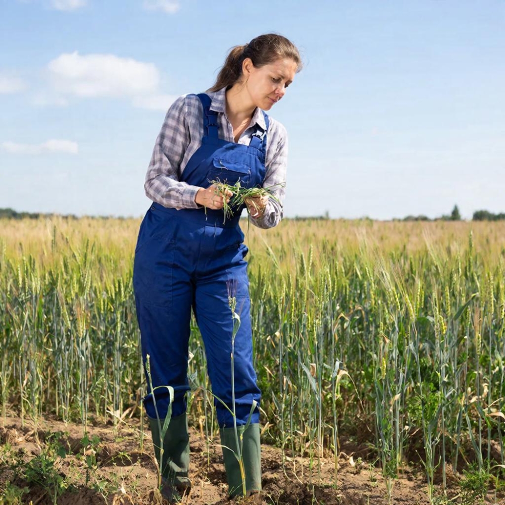 Иммунитет растений