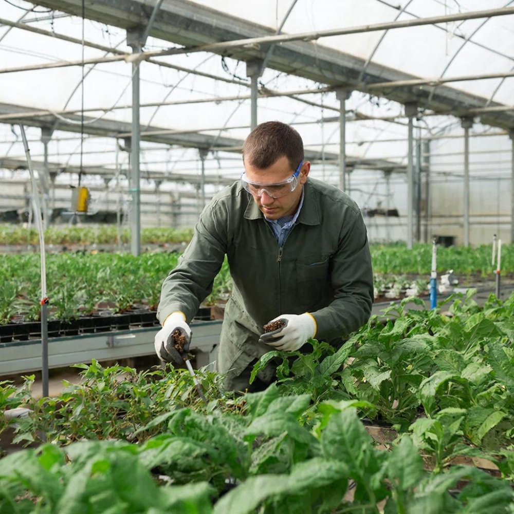 Агропочвоведение: производство продукции растениеводства и воспроизводства плодородия почв