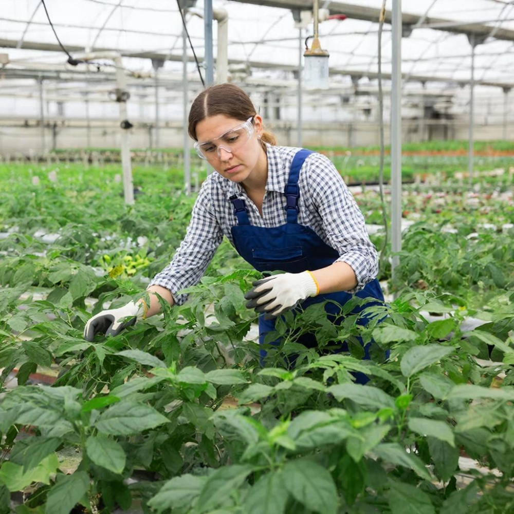 Защита и карантин растений