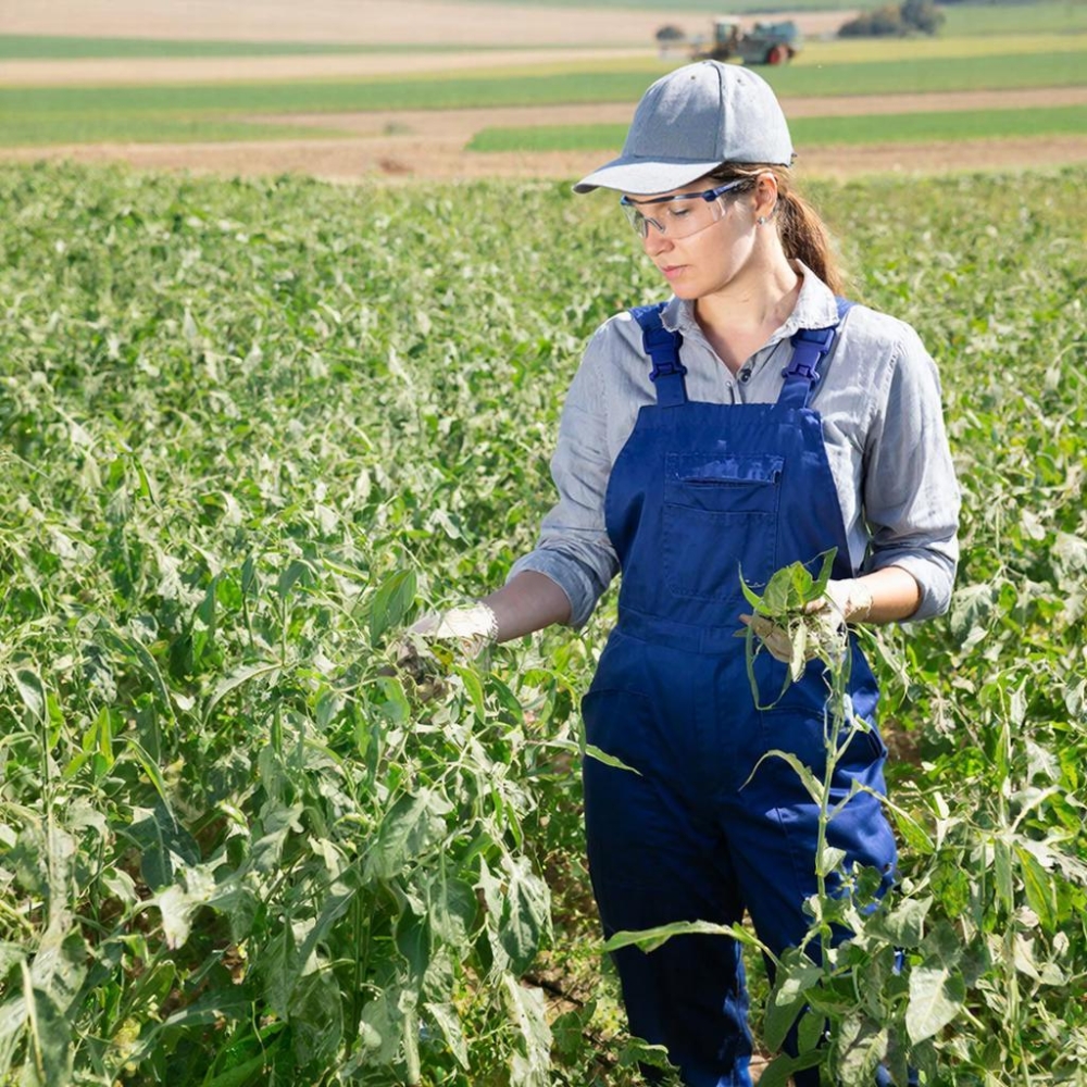 Технологии возделывания сельскохозяйственных культур