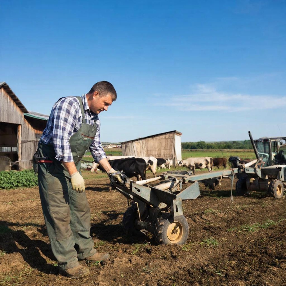 Начинающий фермер