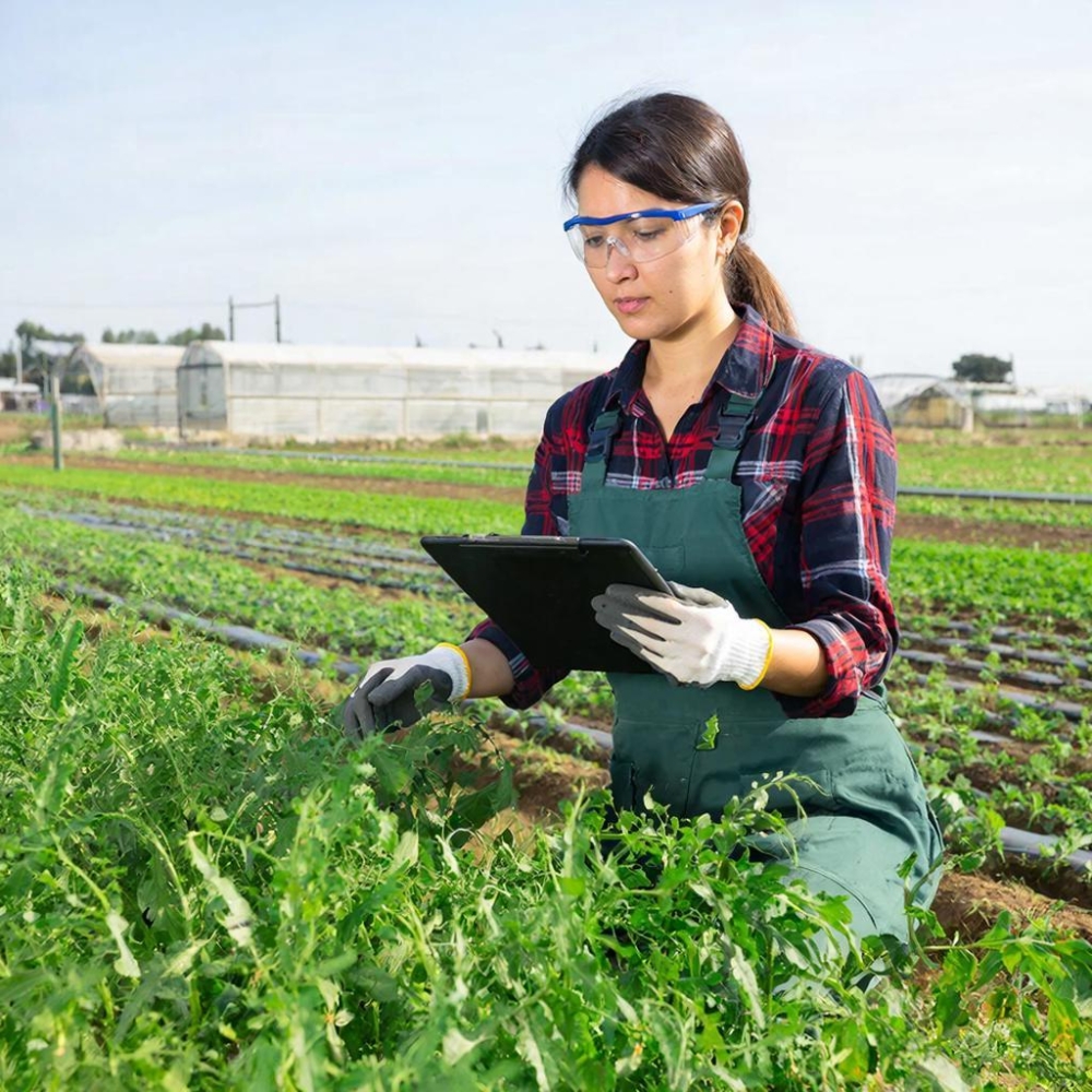 Агрономия. Действие стимуляторов роста растений на почву, посевной материал